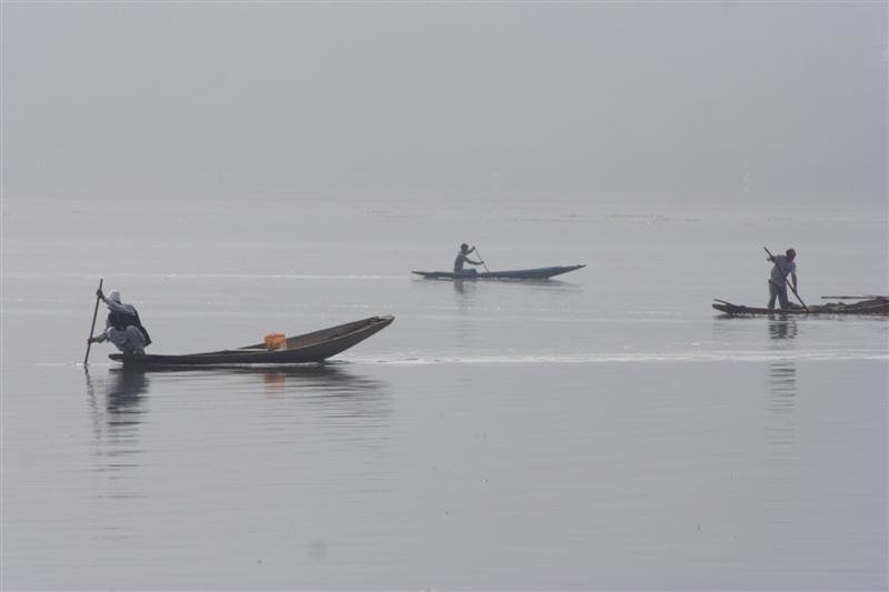 0929ak 9463 Srinigar 20-08-2009 (Medium).JPG